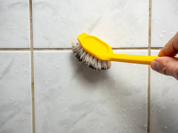 Reliable Halsey, OR Mold Removal Solutions